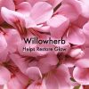 Willowherb Helps Restore Glow