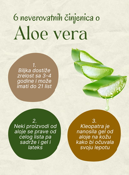 Aloe Vera Inforgrafik