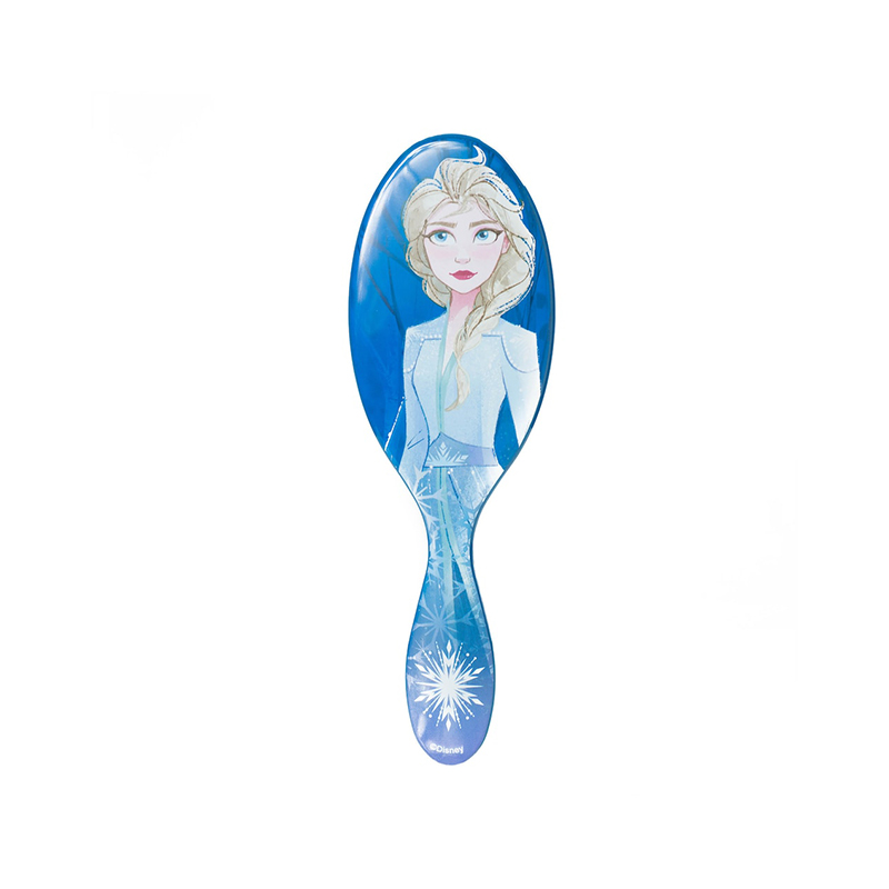 Wet Brush Frozen 2 Elsa