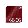 Revlon Revlonissimo Colorsmetique Permanent Hair Color Reds C5 66.66