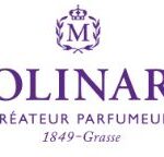 Molinard logo brenda