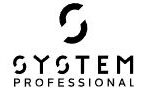 System Professional logo brenda