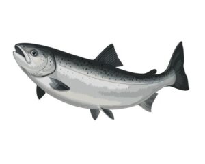 PDRN životinjskog porekla od lososa